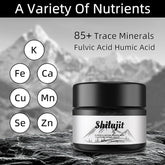 Pure Himalayan Organic Shilajit Resin