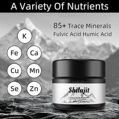Pure Himalayan Organic Shilajit Resin