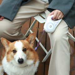 Safeguarding Every Step with LED Dog Leash