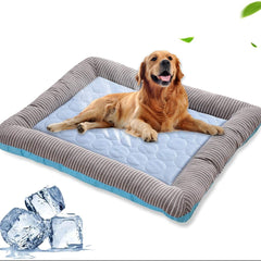 Where Comfort Meets Chill for Your Pet's Pad