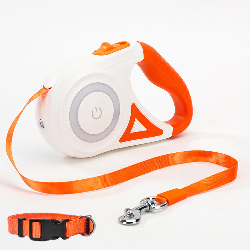 Safeguarding Every Step with LED Dog Leash